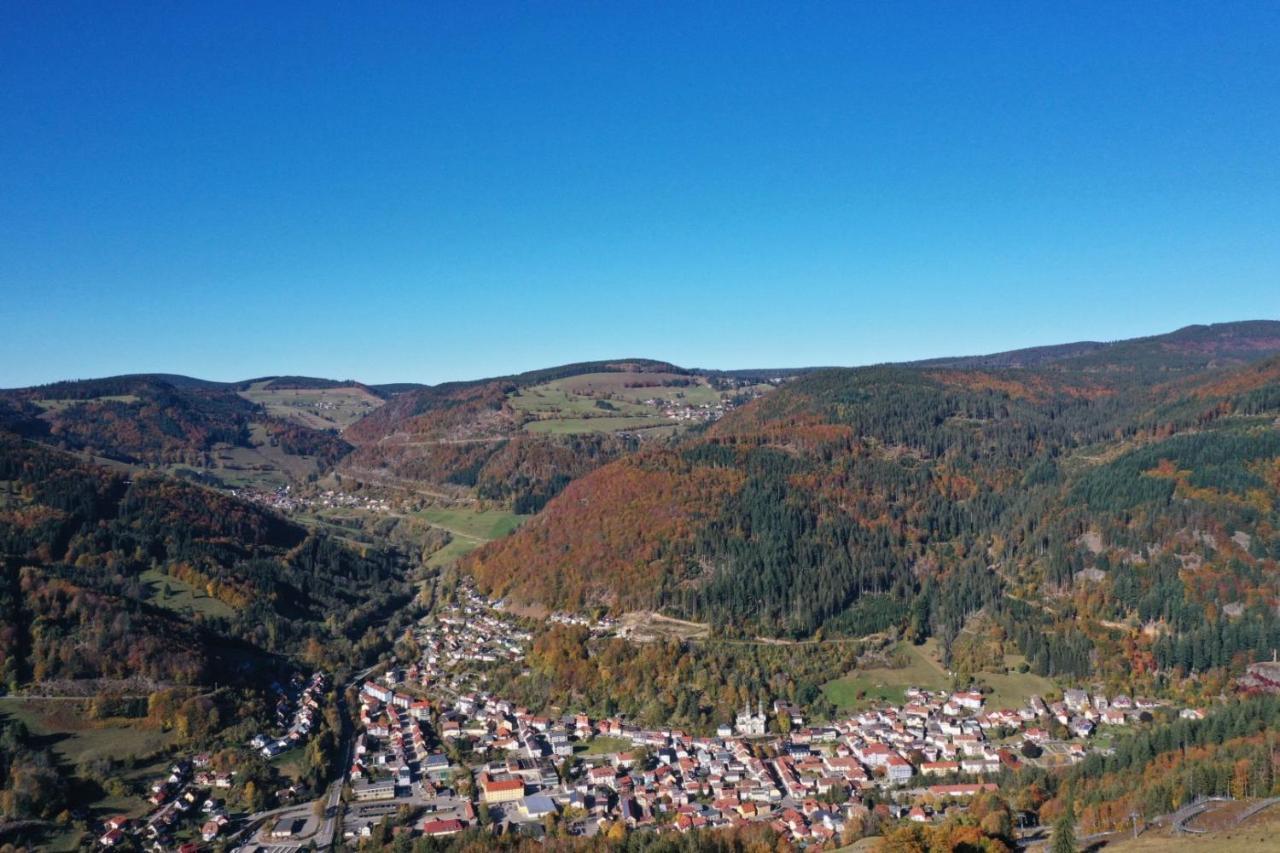 Haus Franziska Apartment Brandenberg Екстериор снимка